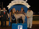 a night at the dogs 8