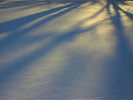 Shadows In The Snow