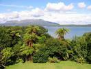 tarawera view