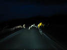 Night Driving1