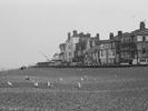 Southwold 81